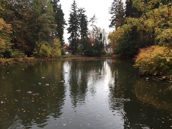 Park Szwedzki