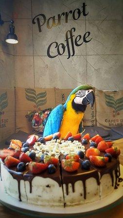 Parrot Coffee