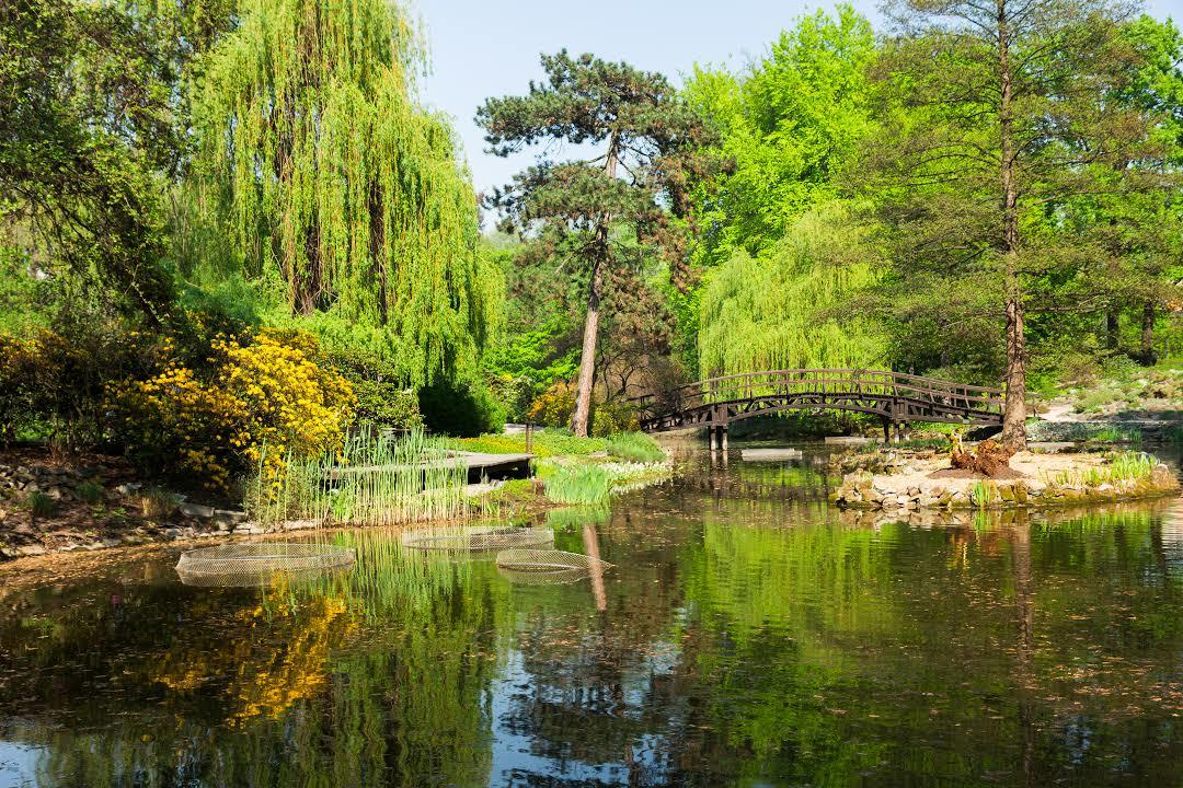 Park Szczytnicki