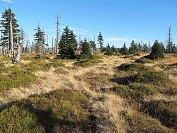 Mumlawski Wierch
