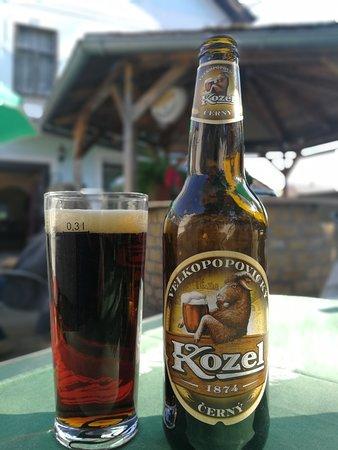 Hospudka U Dvou Borovic