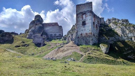 Zamek w Olsztynie