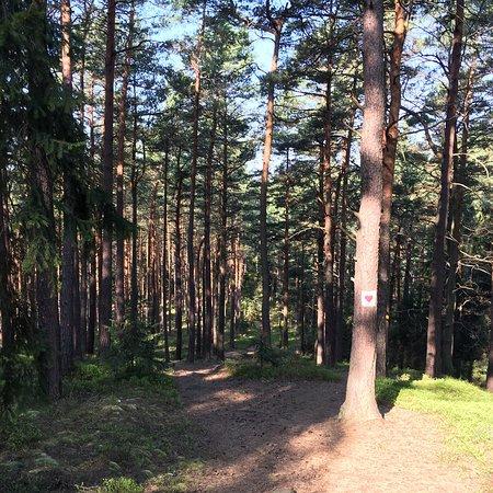 Municipal Tourist Trail