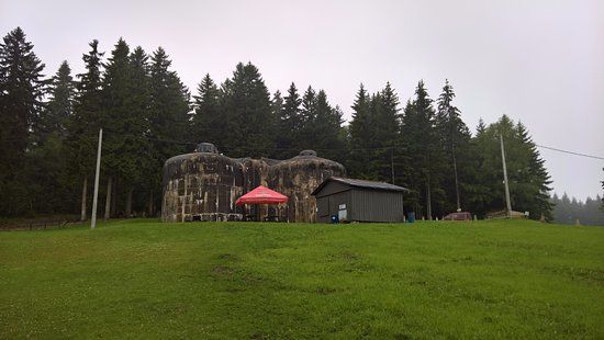 Skutina