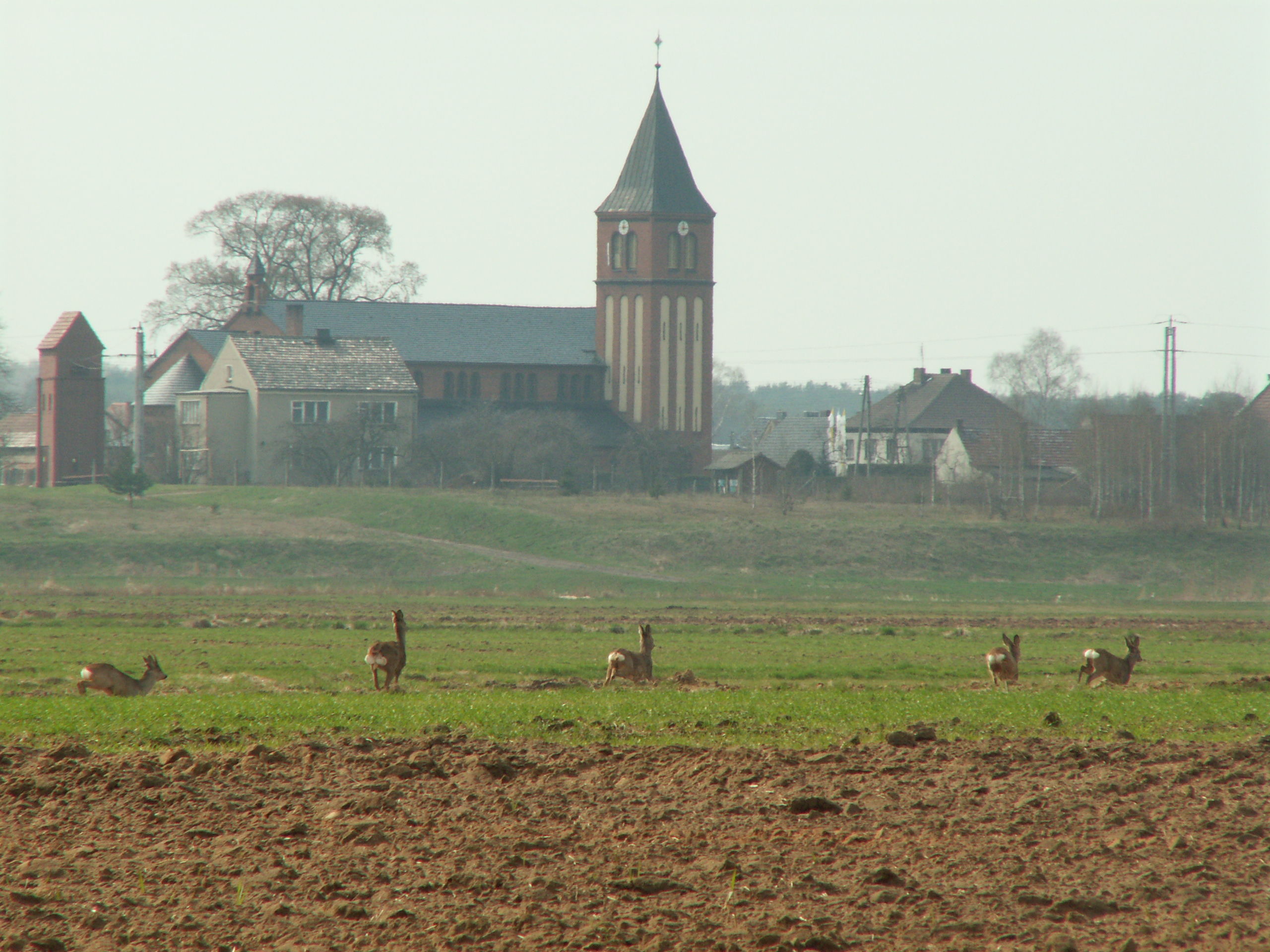 Parafia św. Mikołaja w Szczedrzyku