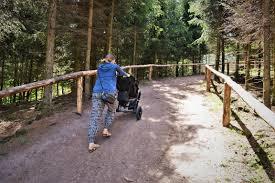Zoo Łączna